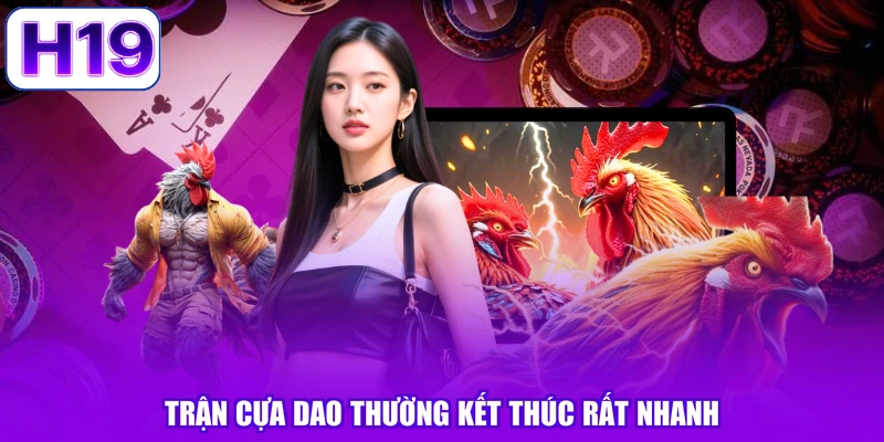 Trận cựa dao thường kết thúc rất nhanh